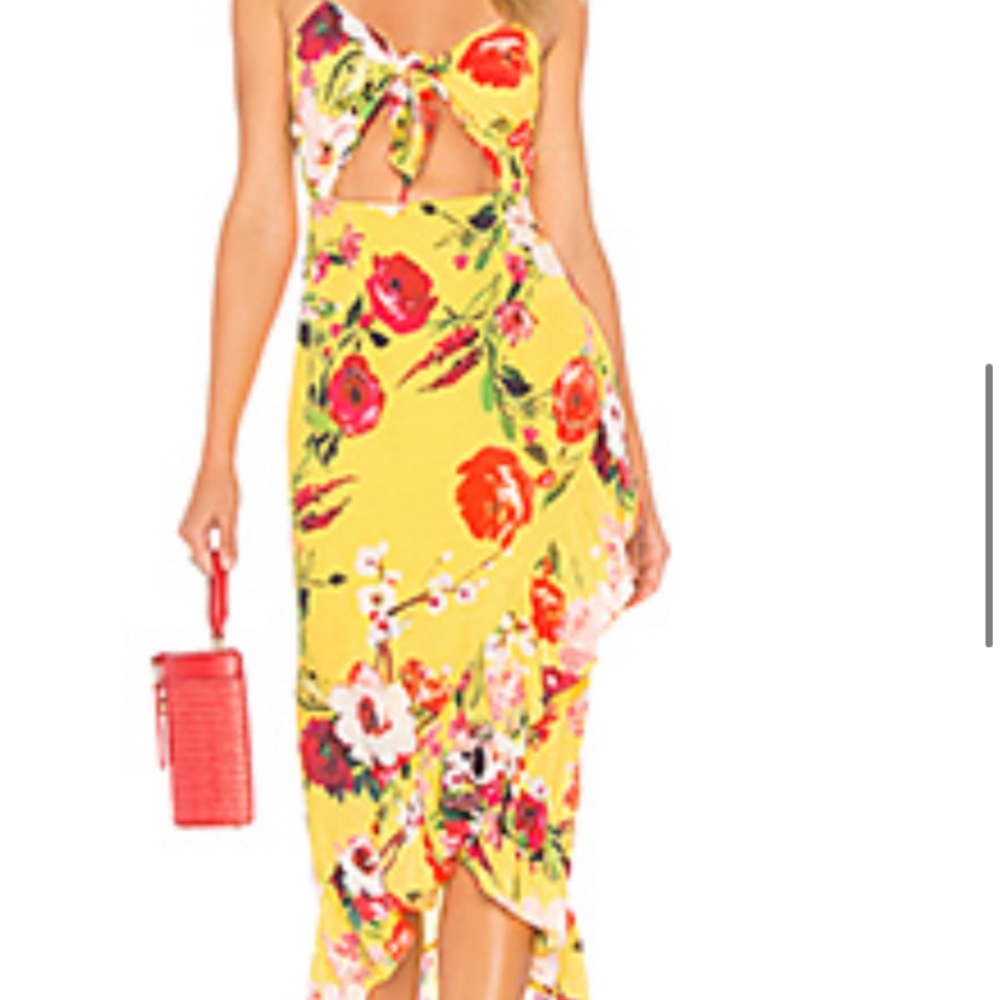 Privacy Please Clinton Midi Dress